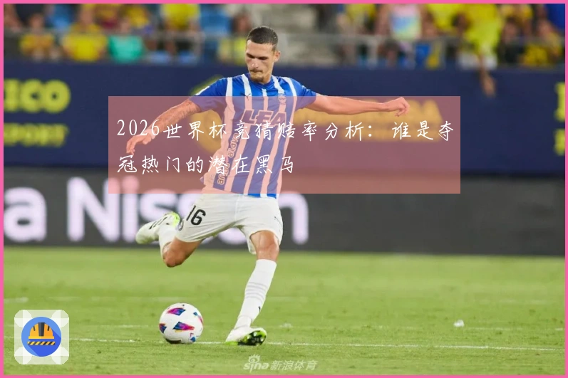 2026世界杯竞猜赔率分析：谁是夺冠热门的潜在黑马