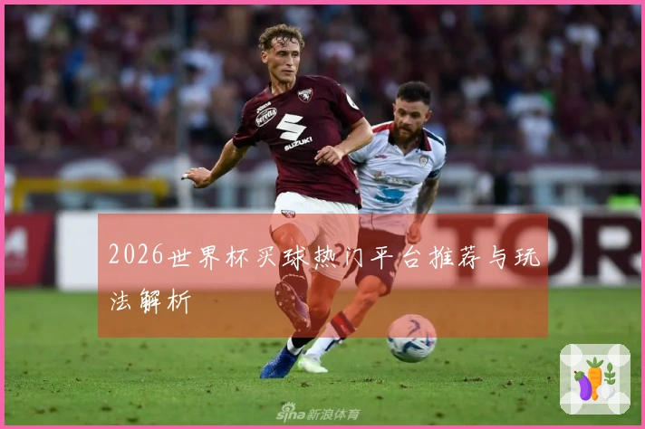 2026世界杯买球热门平台推荐与玩法解析