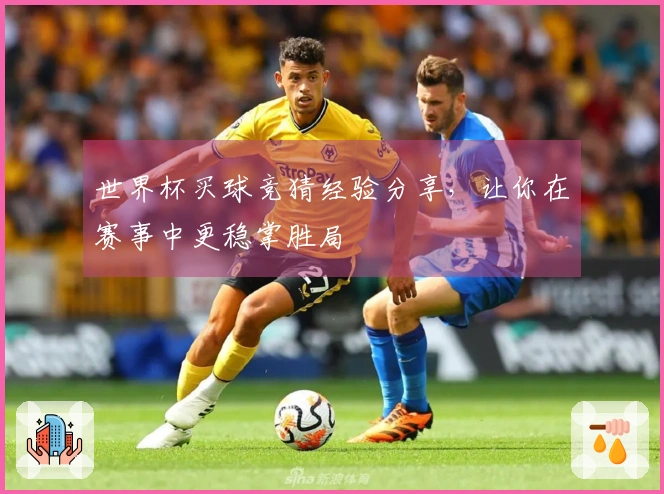 世界杯买球竞猜经验分享，让你在赛事中更稳掌胜局